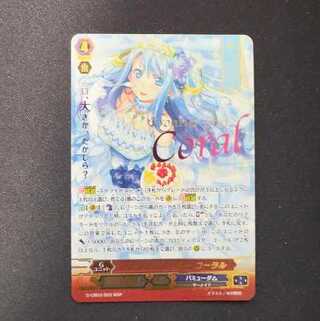 Bermuda Frontier Star Coral