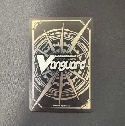 Bermuda Frontier Star Coral