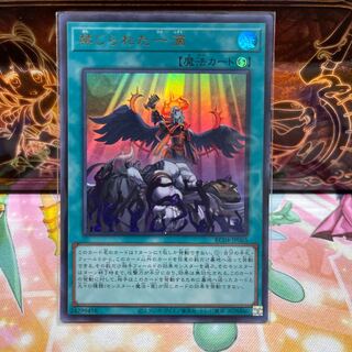 No.2137 P shop Forbidden Droplet [Ultra].