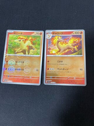 200 yen each Poke Ball specifications sold in bulk