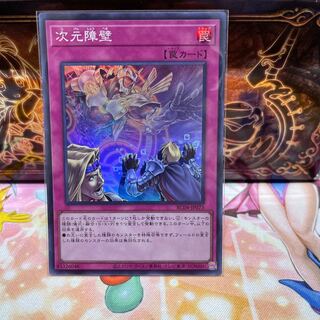 No.1635 P屋 Dimensional Barrier [Super