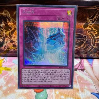 No.2145 P屋　氷結界【シークレット】