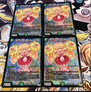 Cheer Scarlet Whitney SR S8/S8