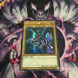 真紅眼の黒竜　韓国シク