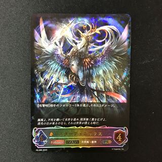 スターフェニックス　EVOLVE プロモ