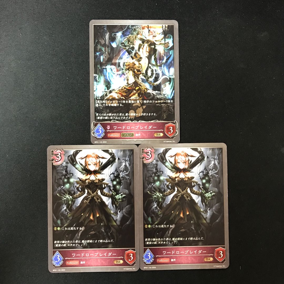 ワードローブレイダー 進化セット BR