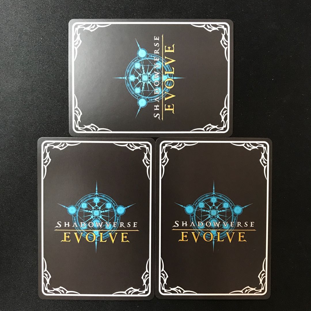 ワードローブレイダー 進化セット BR