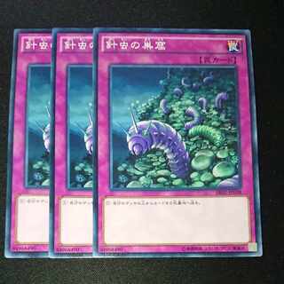 CST258 Needlebug Nest N