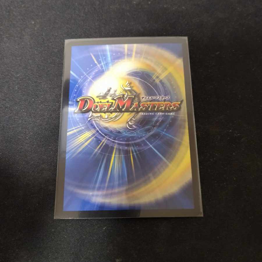 切札勝太&カツキング -熱血の物語- DSR