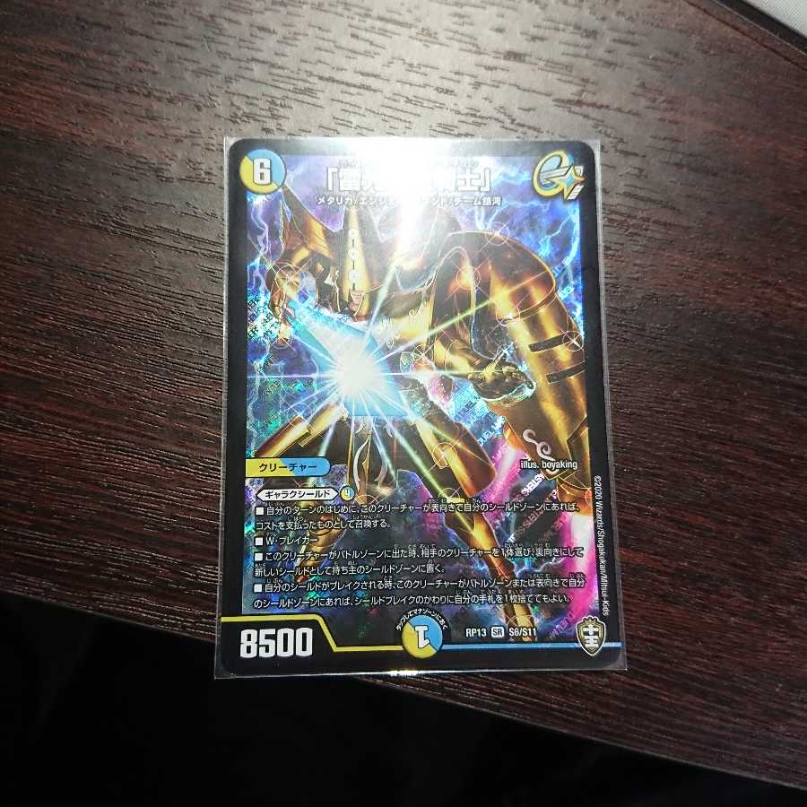 ライトニングソードパラディン