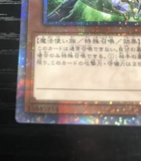 Solidarity and the Bonded Mage QCSE JP000