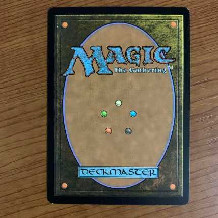 送料込み　mtg  血の墓所