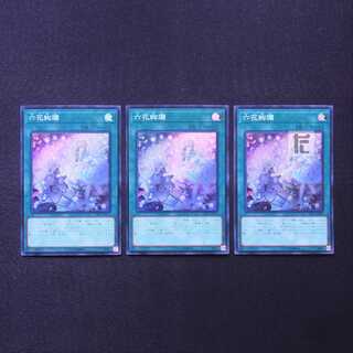 Rikka Glamour Super Set of 3 /Managed by MY1316/Managed by MY1316