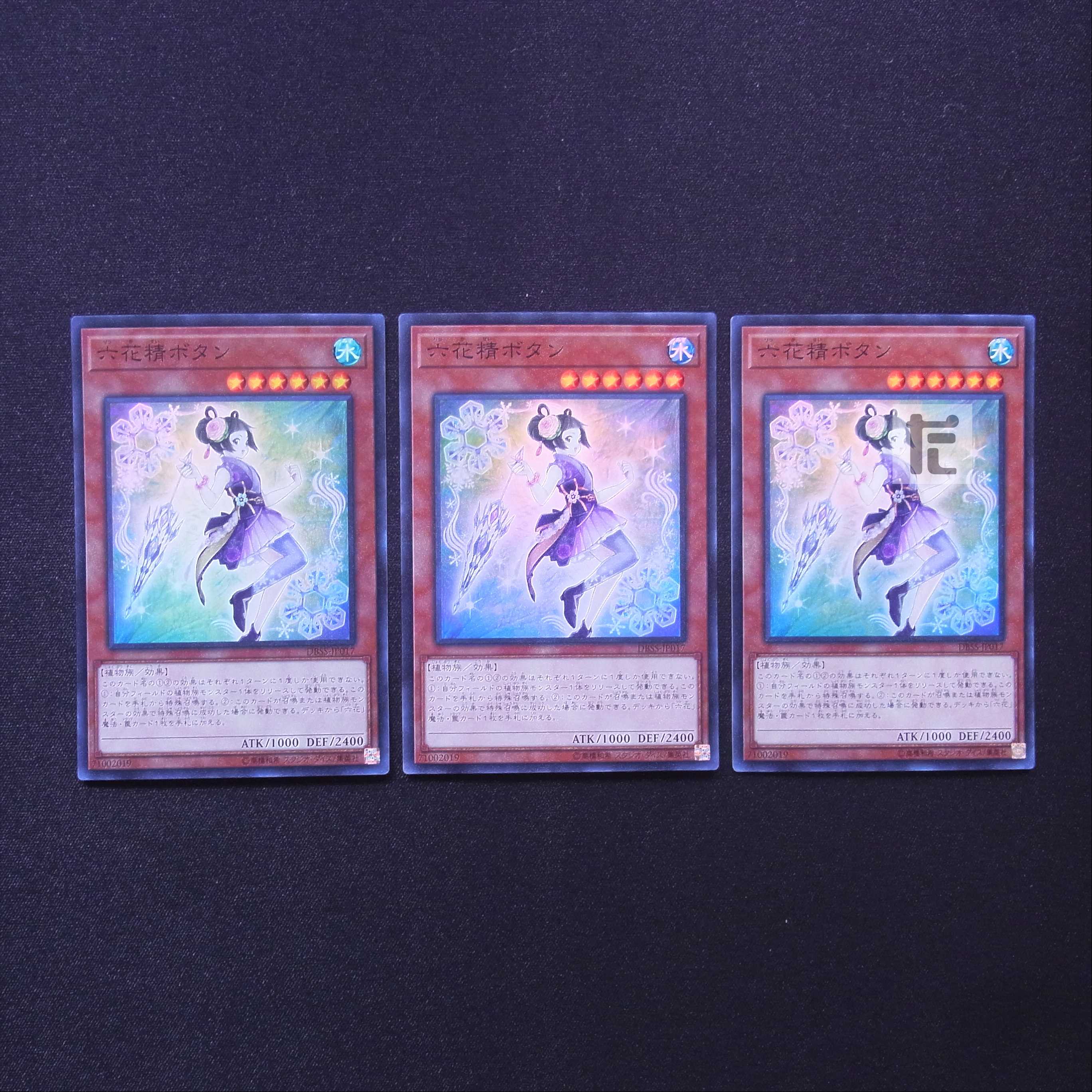 六花精ボタン スーパー 3枚セット/管理:MY1315/管理:MY1315