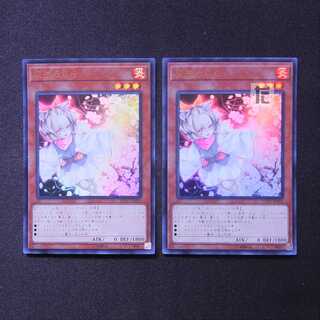 灰流うらら ウルトラ 2枚セット/管理:MY1303/管理:MY1303