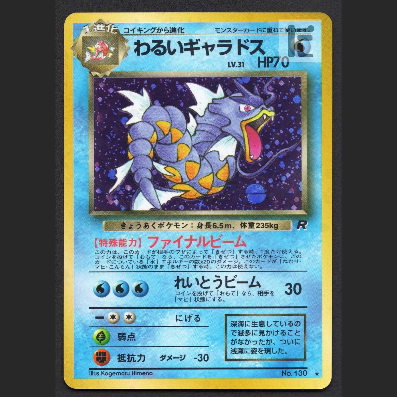わるいギャラドス LV.31【エクセ】旧裏/管理:MP6616/管理:MP6616