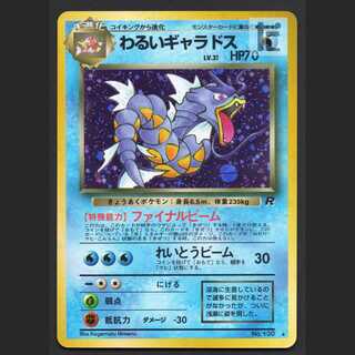 わるいギャラドス LV.31【エクセ】旧裏/管理:MP6616/管理:MP6616
