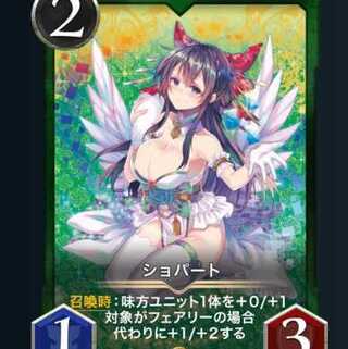 2枚セット　ショパート