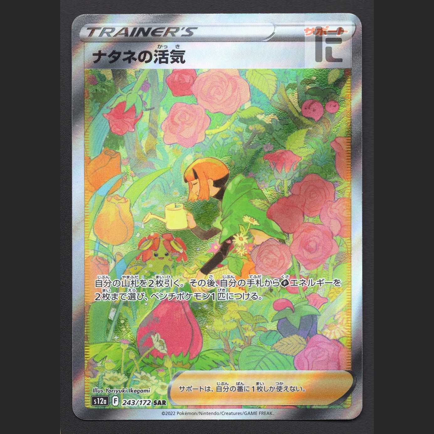 ナタネの活気【ニア】SAR/管理:MP6565/管理:MP6565