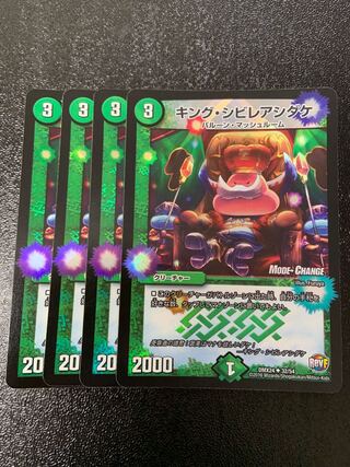 キング・シビレアシダケ