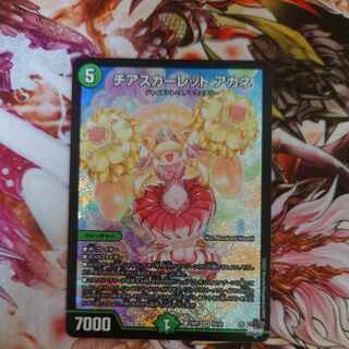 チアスカーレット アカネ SR S8/S8