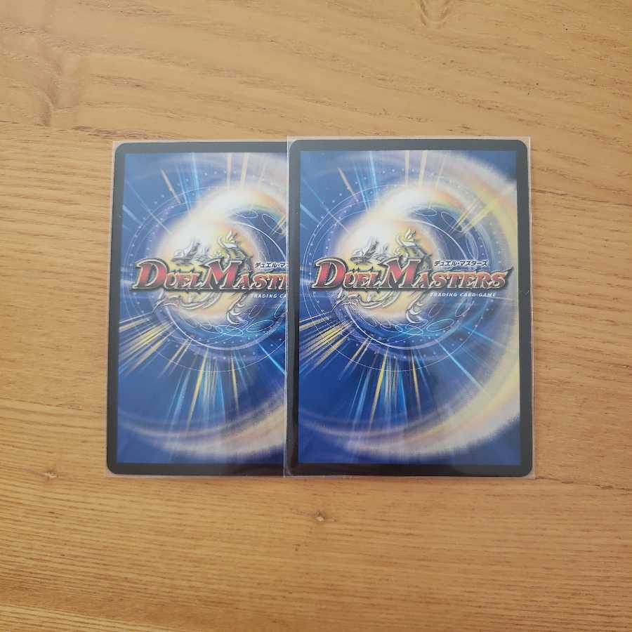 [最安値]   シャコガイル2枚