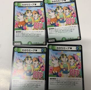 わかりミーア4枚セット