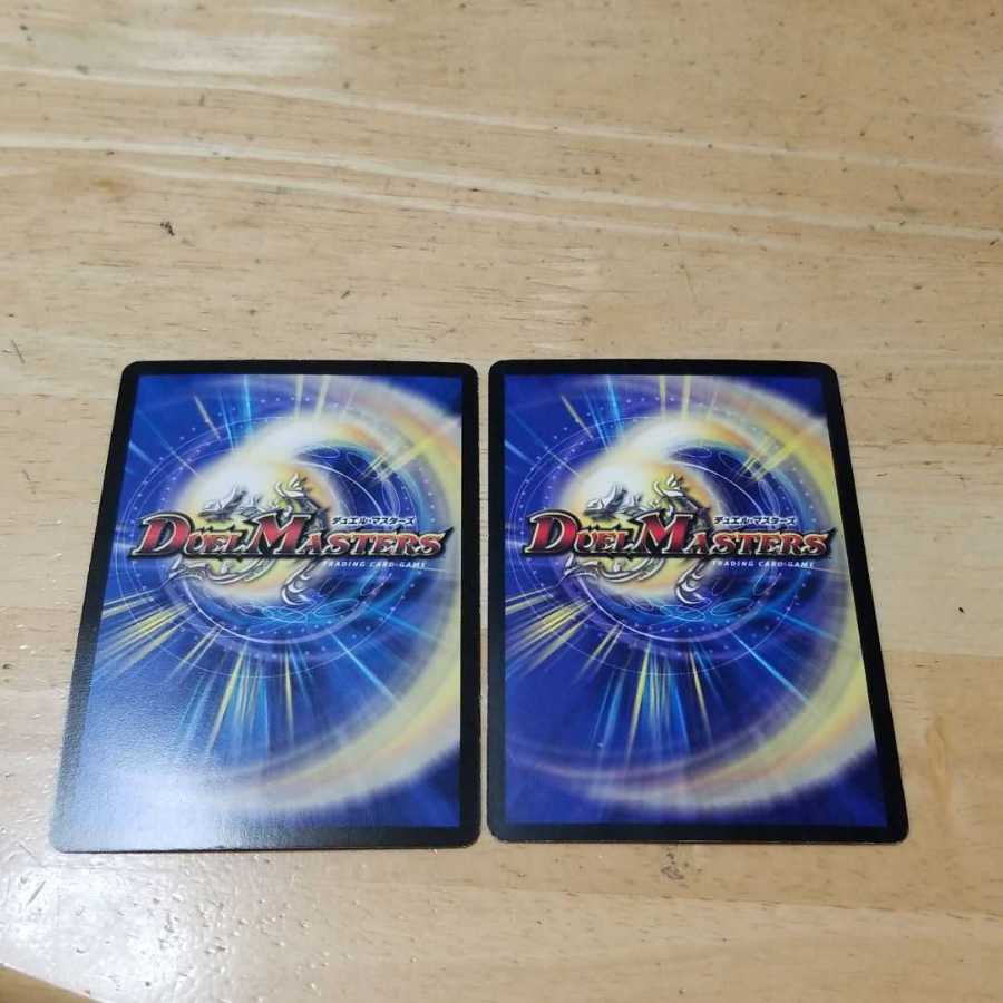 超次元ガード・ホール 2枚