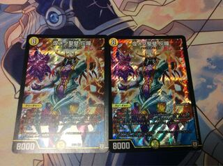 煌メク聖壁 灰瞳