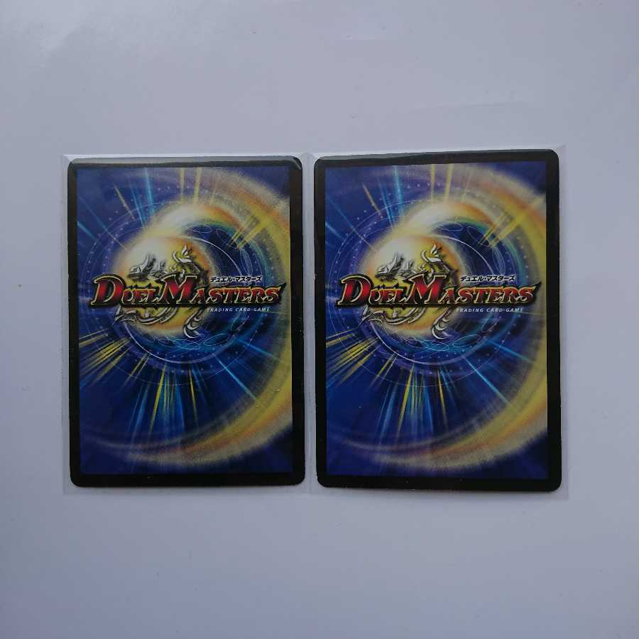 《黒騎士ザールフェルドⅡ世》