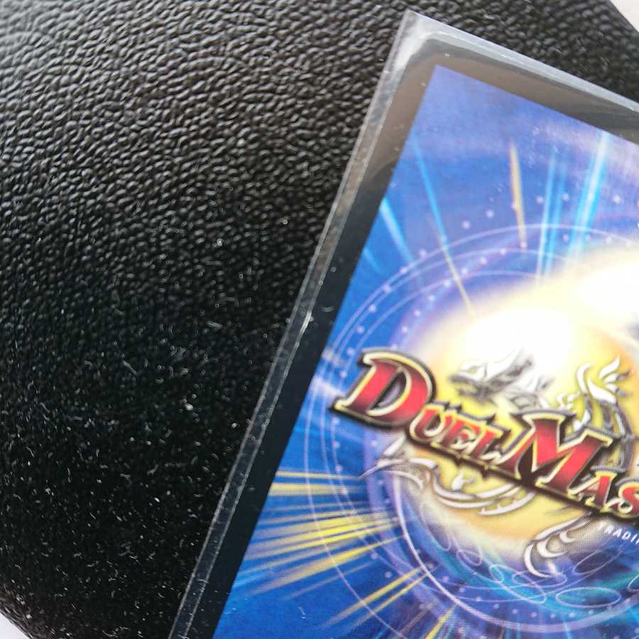 《黒騎士ザールフェルドⅡ世》