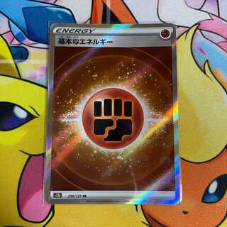 基本闘エネルギー SR 256/172