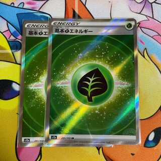 基本草エネルギー SR 251/172