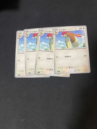 ピジョン C 017/165