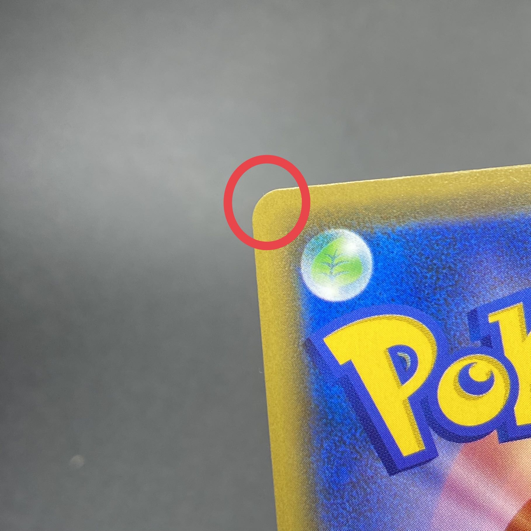 Acerola Extra Battle Day (Ecba Acerola) PROMO 395/SM-P