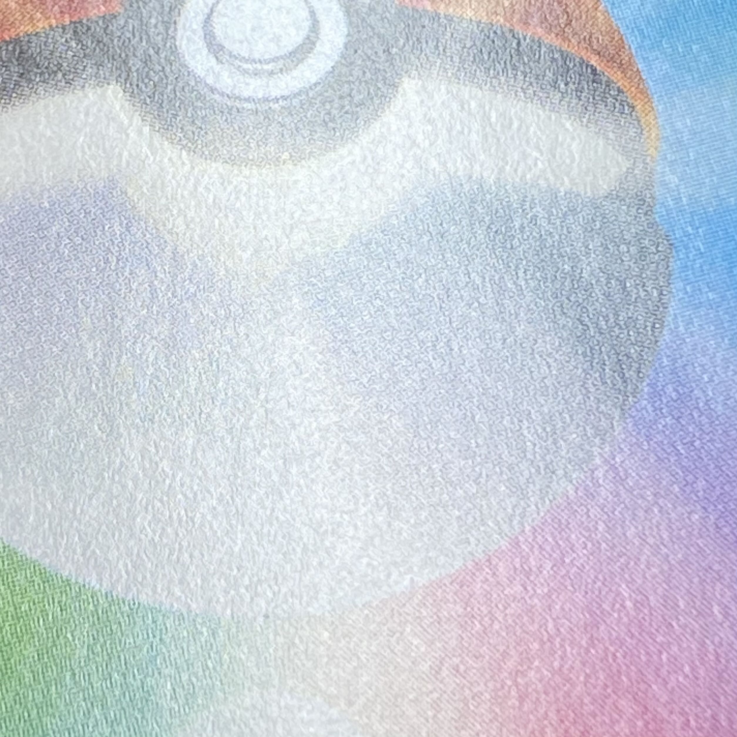 Acerola Extra Battle Day (Ecba Acerola) PROMO 395/SM-P