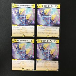 Triguard Charger R 13/95