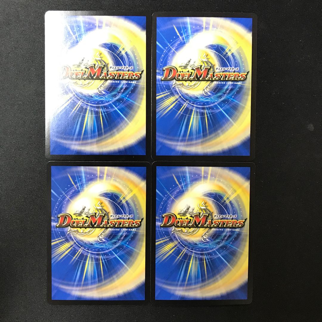 Triguard Charger R 13/95