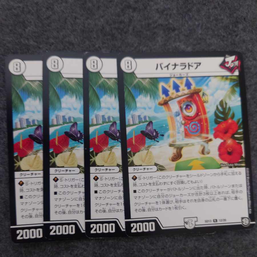 バイナラドア R 11/93