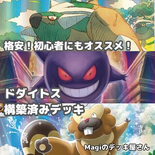 Pokémon Card] No.152 Torterra Preconstructed Deck for Beginners