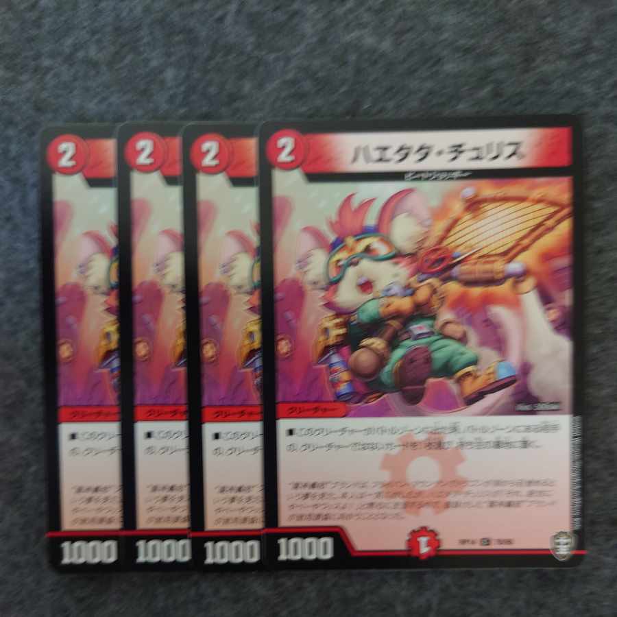 Haetata Chu Squirrel C 78/95