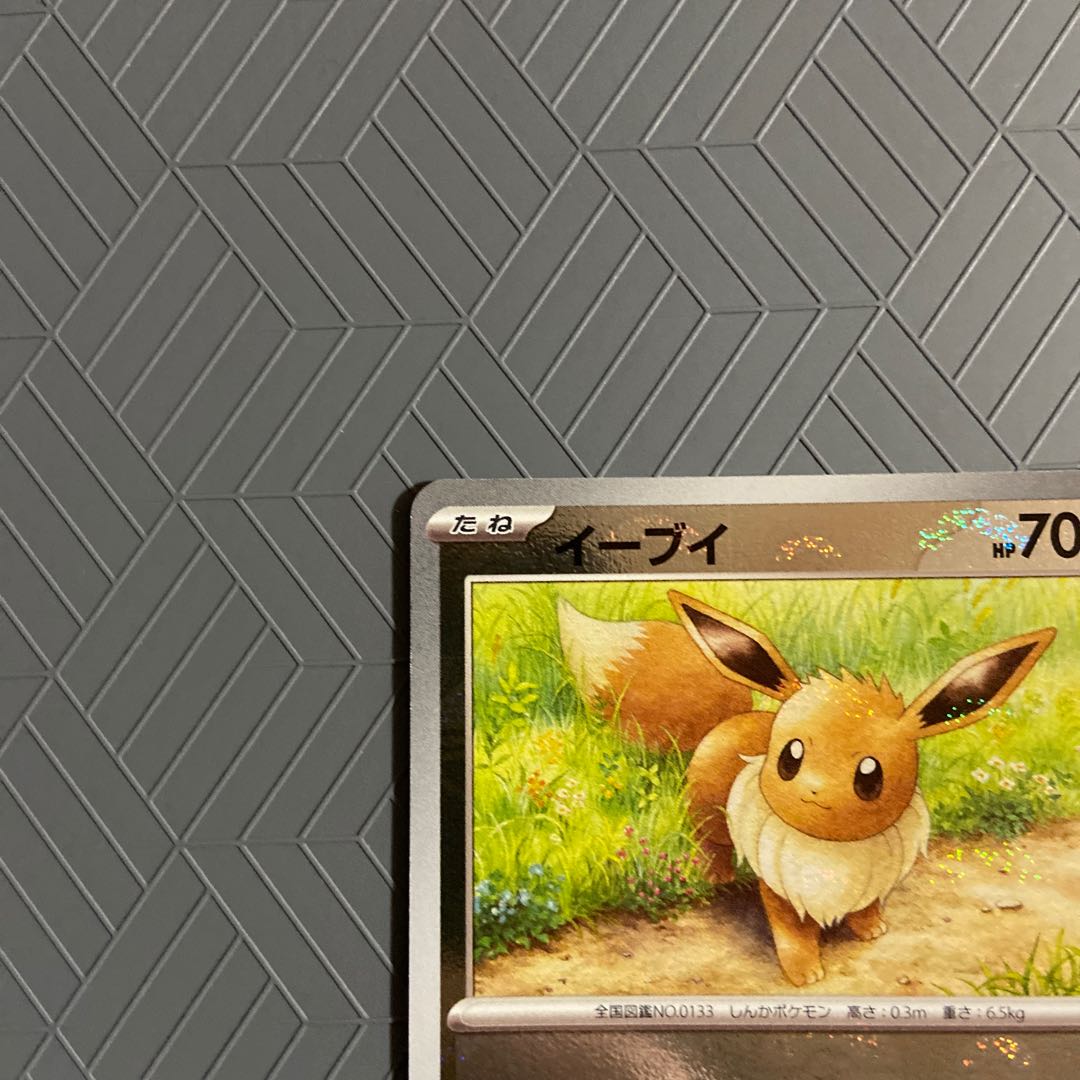 Eevee (Poke Ball pattern/mirror) C 133/165