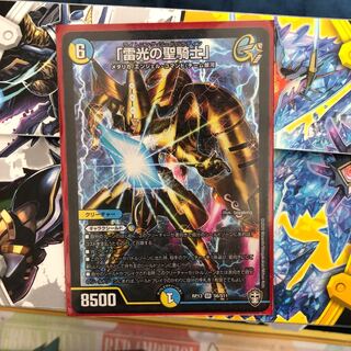 雷光の聖騎士 ライトニングソードパラディン