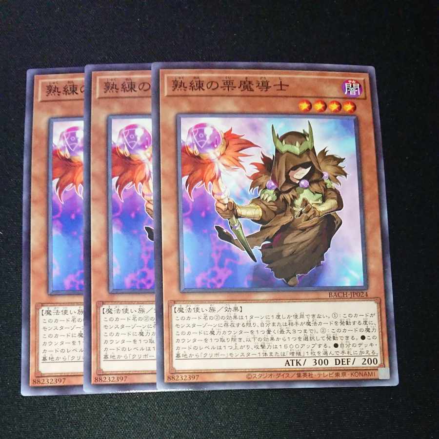 CST303 熟練の栗魔導士N
