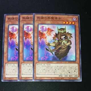 CST304 熟練の栗魔導士N