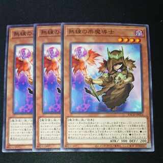 CST305 熟練の栗魔導士N