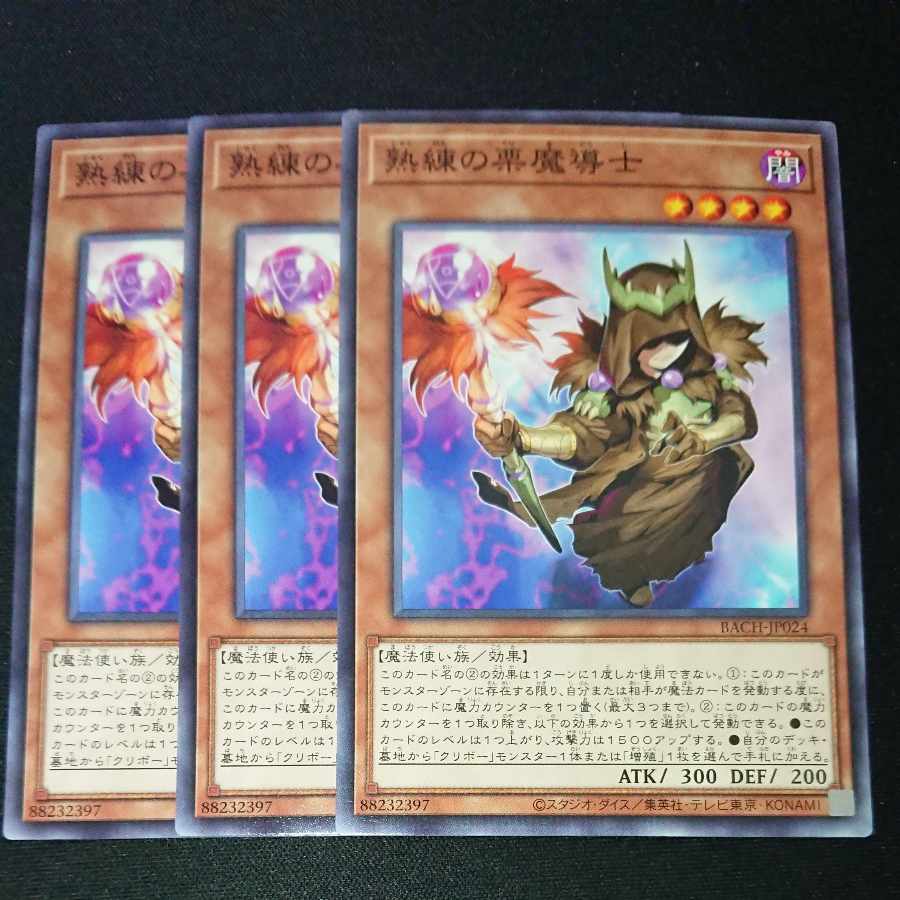 CST307 熟練の栗魔導士N