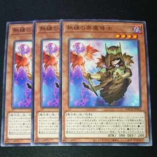 CST307 熟練の栗魔導士N