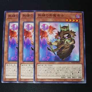 CST308 熟練の栗魔導士N