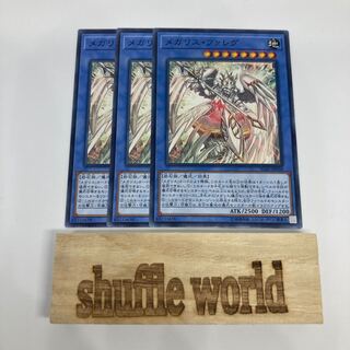 メガリス・ファレグ 747